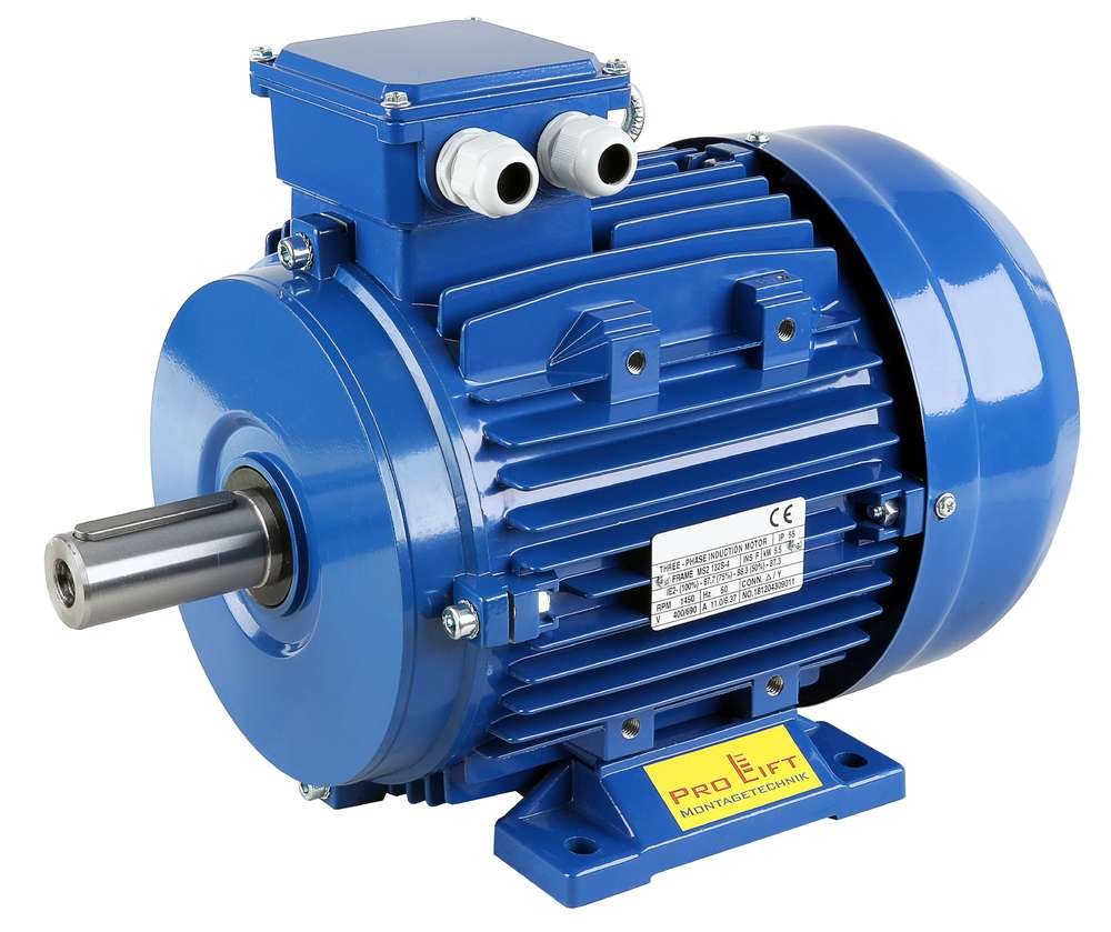 ELECTROMOTOR ELEKTRIM